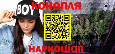 амф Бийск
