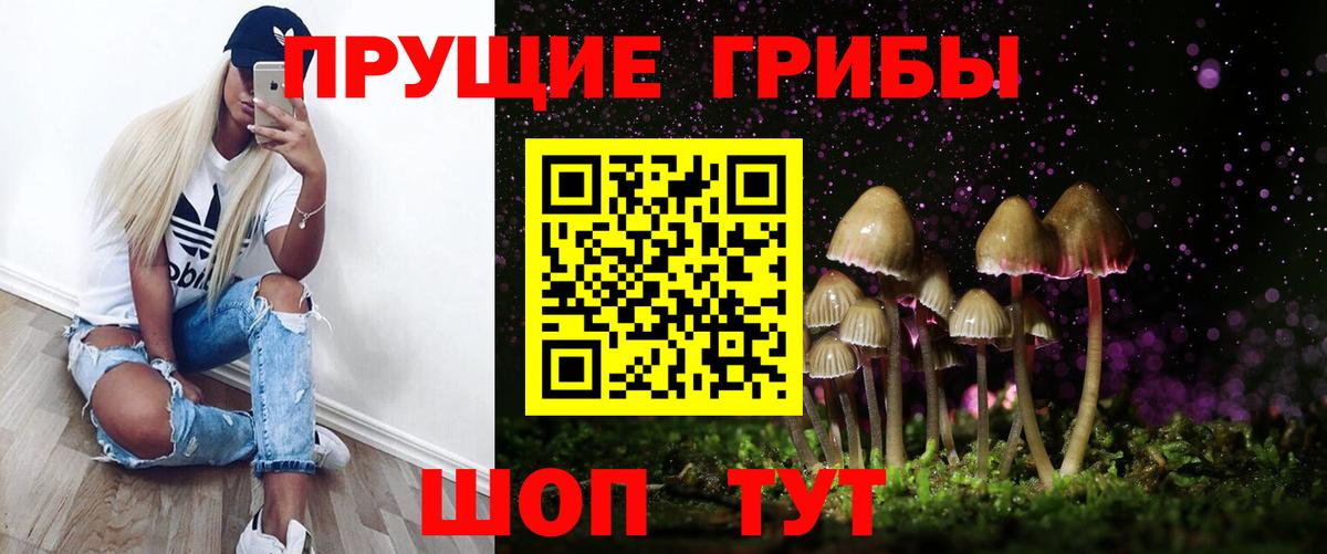 где купить наркотик  Вход с VPN  Вязники  Галлюциногенные грибы Magic Shrooms 